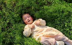 啪啪啪动态图带声音